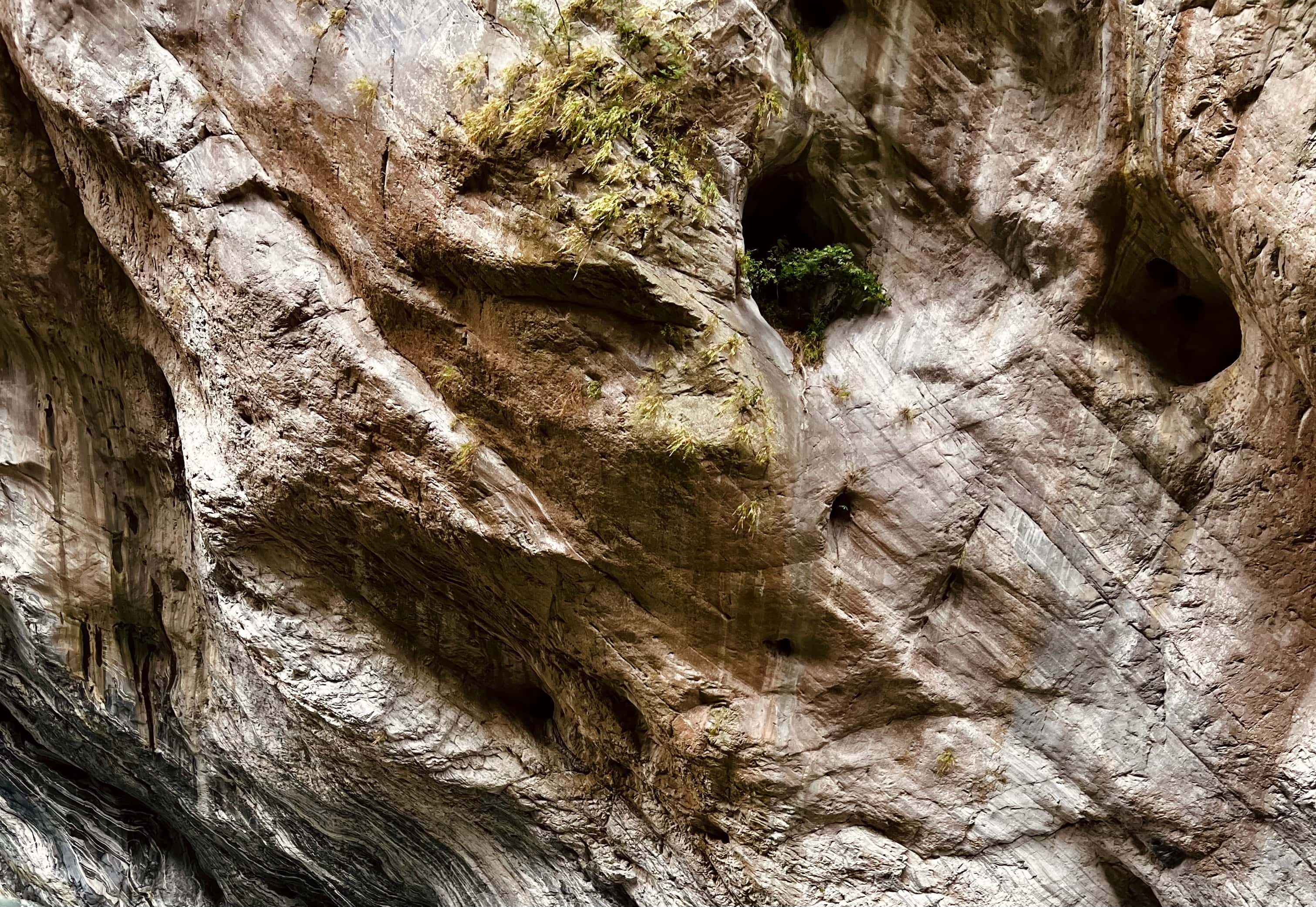 Folded rock strata in a gorge wall.